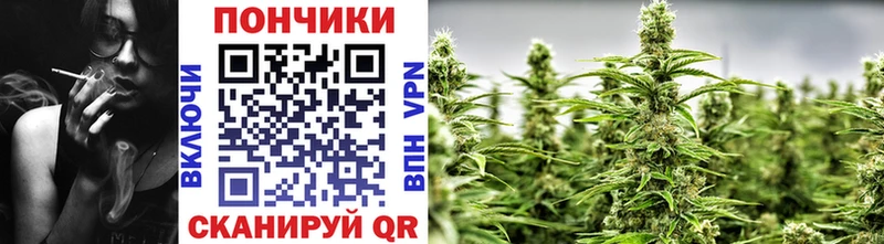 Бошки марихуана гибрид Шахунья